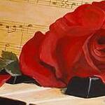 Immagine: fiori 5