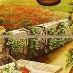 Immagine: fiori 6