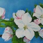 Immagine: Fiori di melo, 2009