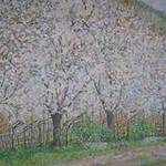 Immagine: foto 10