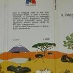 Immagine: foto 10