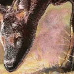Immagine: foto 11