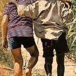 Immagine: foto 11