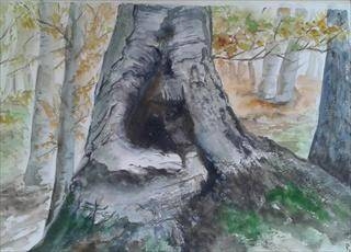 Immagine: foto 1