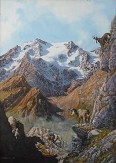 Immagine: foto 1