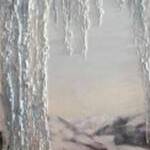 Immagine: foto 12