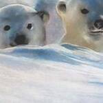 Immagine: Foto 12