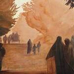 Immagine: Foto 13
