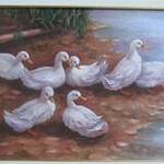 Immagine: foto 13
