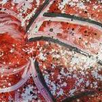 Immagine: Foto 14