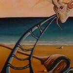 Immagine: foto 19