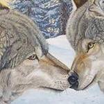 Immagine: foto 2