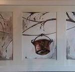 Immagine: Foto 2