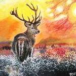 Immagine: foto 2