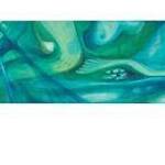 Immagine: Foto 2