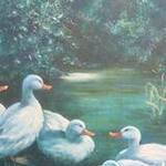 Immagine: foto 2