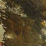 Immagine: foto 2