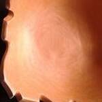 Immagine: foto 4