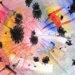Immagine: foto 5