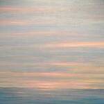 Immagine: foto 5