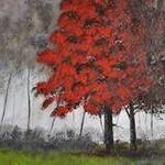 Immagine: foto 5