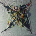 Immagine: foto 5