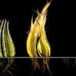 Immagine: foto 6