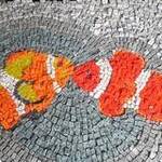 Immagine: foto 6