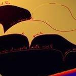 Immagine: foto 7