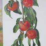 Immagine: foto 8