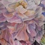 Immagine: foto 8