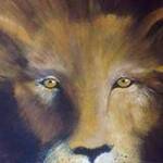 Immagine: foto 9