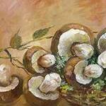 Immagine: funghi 11