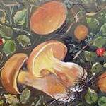Immagine: funghi 17