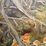 Immagine: funghi 32