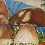Immagine: funghi 5