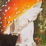 Immagine: funghi 7