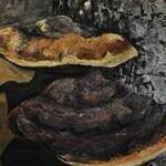Immagine: Funghi de zoca