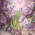 Immagine: Giacinti
