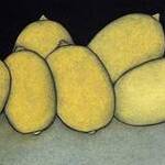 Immagine: Gialli limoni