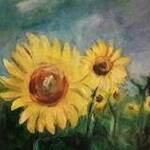 Immagine: Girasoli - 2017
