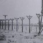 Immagine: Gulag karaganda