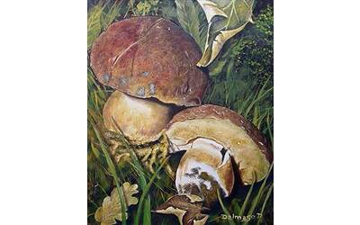 Immagine: I funghi