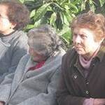 Immagine: Insieme per il Cile