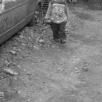 Immagine: Insieme per il Cile