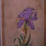 Immagine: Iris Viola (Miniatura)(Violet Iris)