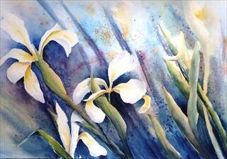 Immagine: "Iris"
