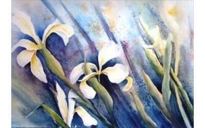 Immagine: "Iris"
