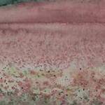 Immagine: "land e scape"