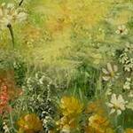 Immagine: Laura Bonfanti. IN PRIMAVERA
